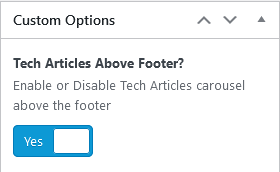 Advanced Custom Fields Custom Options True/False